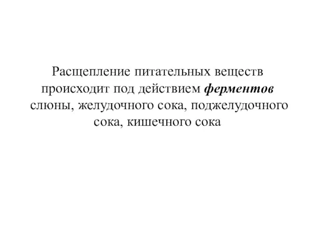 Расщепление питательных веществ происходит под действием ферментов слюны, желудочного сока, поджелудочного сока, кишечного сока