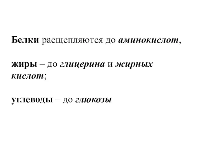 Белки расщепляются до аминокислот, жиры – до глицерина и жирных кислот; углеводы – до глюкозы