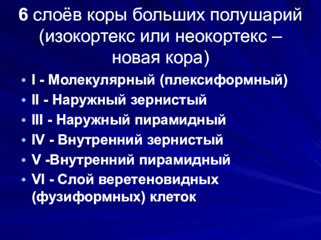 6 слоёв коры больших полушарий (изокортекс или неокортекс – новая