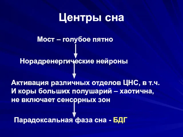 Центры сна Мост – голубое пятно Норадренергические нейроны Активация различных