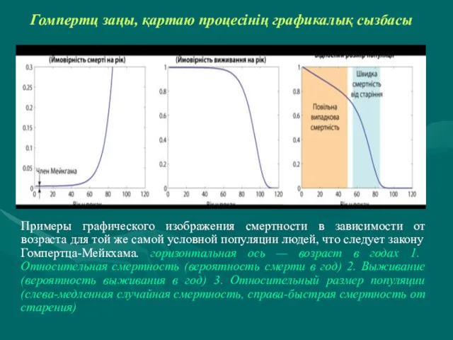 Гомпертц заңы, қартаю процесінің графикалық сызбасы Примеры графического изображения смертности