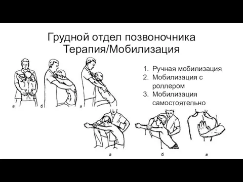 Грудной отдел позвоночника Терапия/Мобилизация Ручная мобилизация Мобилизация с роллером Мобилизация самостоятельно