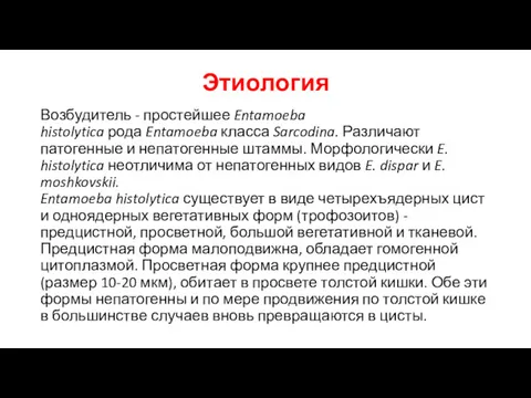 Этиология Возбудитель - простейшее Entamoeba histolytica рода Entamoeba класса Sarcodina.