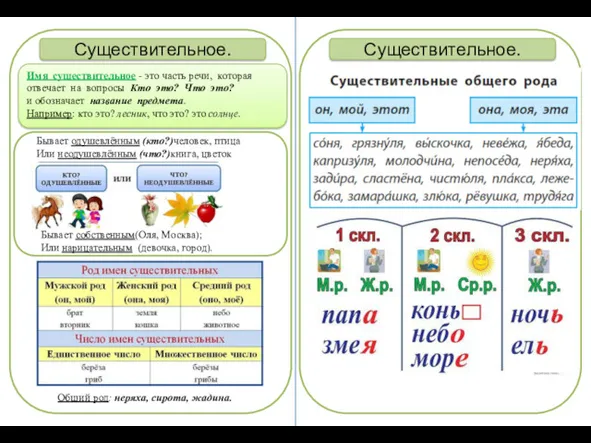 Существительное. Имя существительное - это часть речи, которая отвечает на вопросы Кто это?