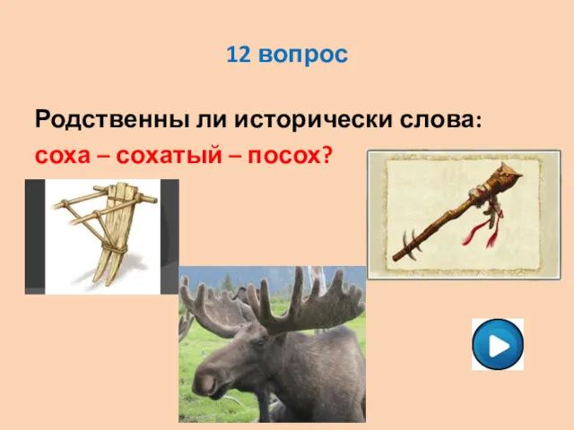 12 вопрос Родственны ли исторически слова: соха – сохатый – посох?