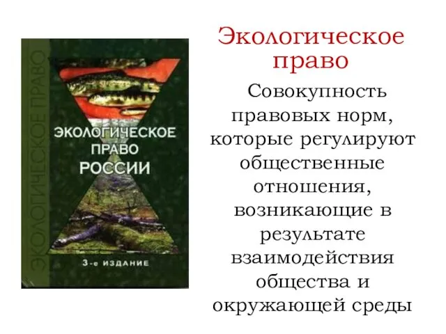 Совокупность правовых норм, которые регулируют общественные отношения, возникающие в результате