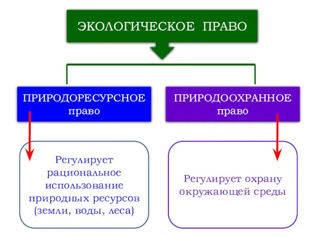 ЭКОЛОГИЧЕСКОЕ ПРАВО ПРИРОДОРЕСУРСНОЕ право ПРИРОДООХРАННОЕ право Регулирует рациональное использование природных