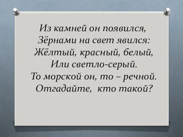 Из камней он появился, Зёрнами на свет явился: Жёлтый, красный,