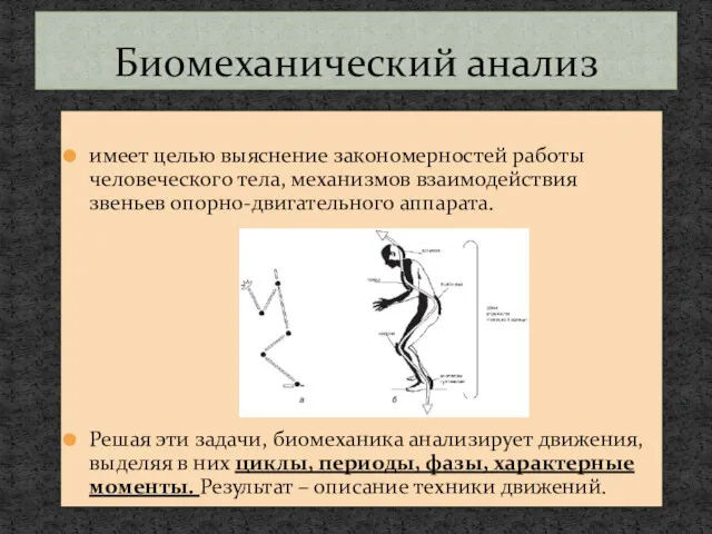 имеет целью выяснение закономерностей работы человеческого тела, механизмов взаимодействия звеньев