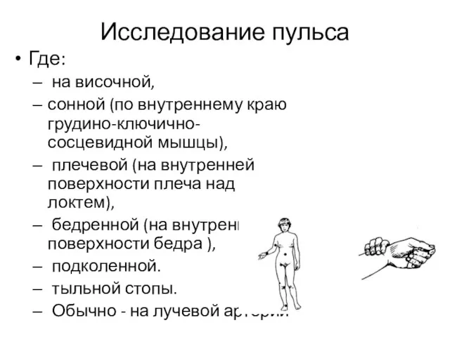 Исследование пульса Где: на височной, сонной (по внутреннему краю грудино-ключично-сосцевидной