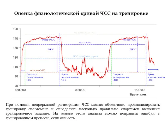 Оценка физиологической кривой ЧСС на тренировке При помощи непрерывной регистрации