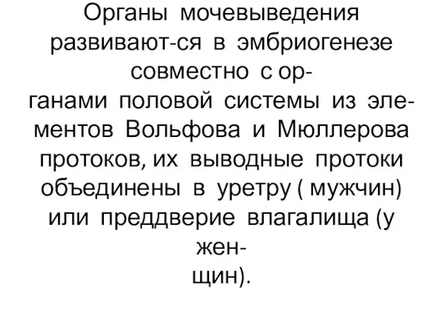 Органы мочевыведения развивают-ся в эмбриогенезе совместно с ор- ганами половой