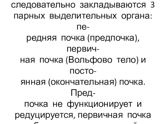 В процессе развития человека по- следовательно закладываются 3 парных выделительных