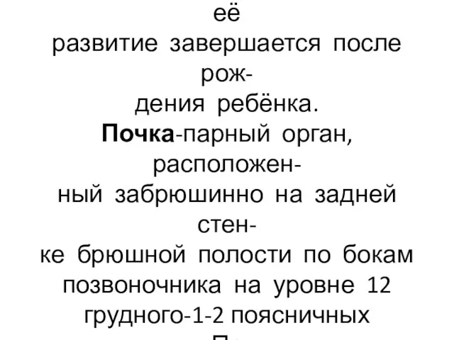 Окончательная почка закладывает- ся на 2 месяце беременности, её развитие