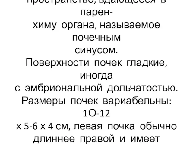 Ворота почки открываются в узкое пространство, вдающееся в парен- химу