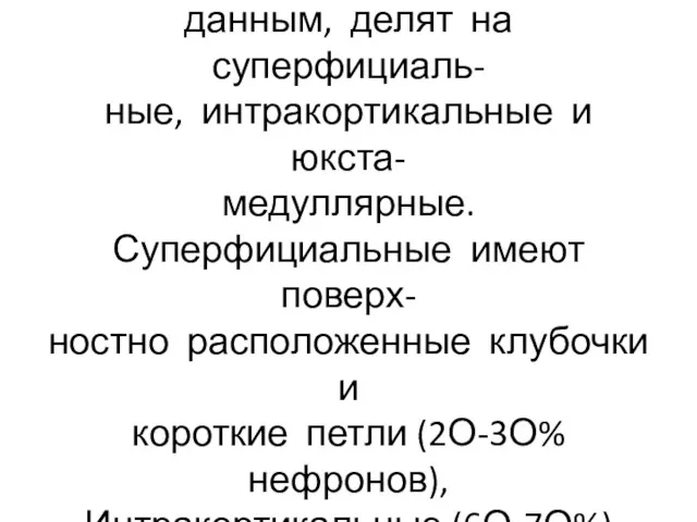 По локализации, строению и кро- снабжению нефроны, по последним данным,