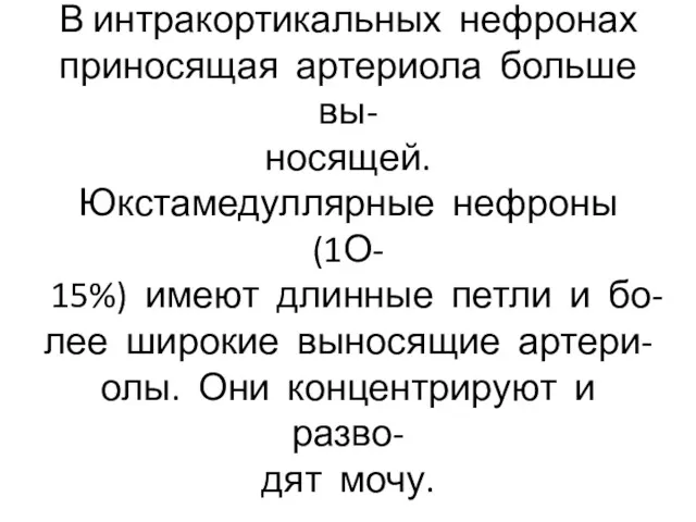 В интракортикальных нефронах приносящая артериола больше вы- носящей. Юкстамедуллярные нефроны