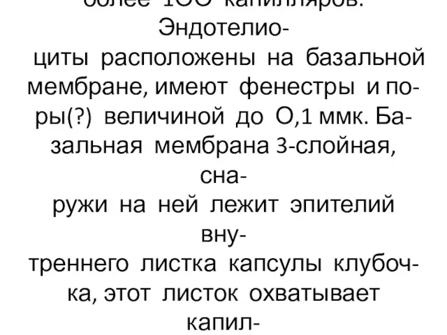 Сосудистый клубочек состоит из более 1ОО капилляров. Эндотелио- циты расположены