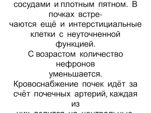 Клетки Гурмагтига лежат в прост- ранстве между этими же сосудами