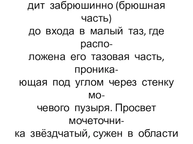 Мочеточник-трубка длиной около 3О см и диаметром 4-6 мм. Прохо-