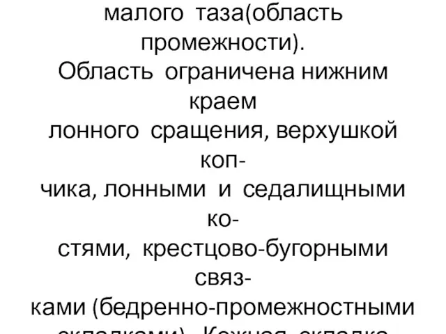 Мочеполовая диафрагма и задне- проходная область образуют дно малого таза(область