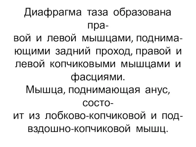 Диафрагма таза образована пра- вой и левой мышцами, поднима- ющими