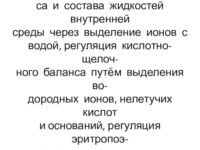 Функции почек: регуляция водного баланса, регуляция ионного балан- са и