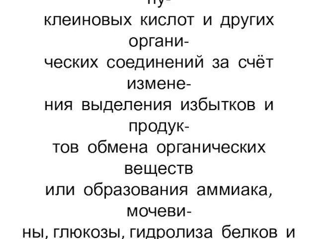 Функции почек: регуляция метабо- лизма белков, жиров, углеводов, ну- клеиновых