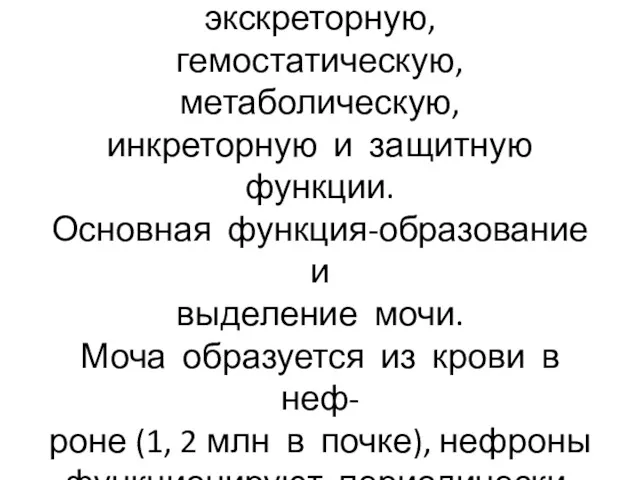 Почки осуществляют экскреторную, гемостатическую, метаболическую, инкреторную и защитную функции. Основная