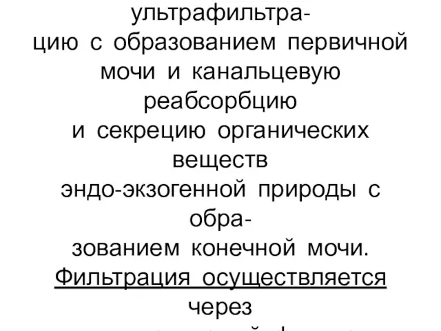 Механизм мочеобразования вклю- чает клубочковую ультрафильтра- цию с образованием первичной