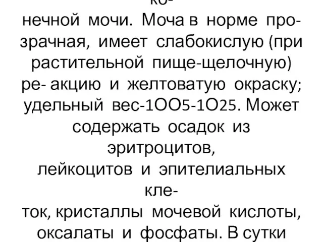 В сутки выделяется О,7-2 литра ко- нечной мочи. Моча в