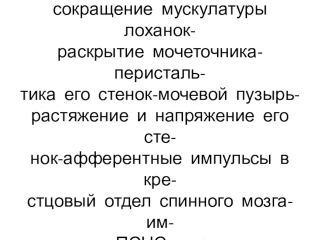 Механизм выведения мочи: запол- нение лоханок-механорецепторы- сокращение мускулатуры лоханок- раскрытие