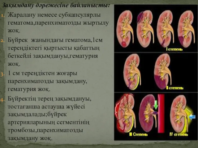 Зақымдану дәрежесіне байланысты: Жаралану немесе субкапсулярлы гематома,паренхиматозды жыртылу жоқ. Бүйрек