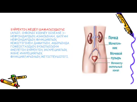 БҮЙРЕКТІҢ ЖЕДЕЛ ШАМАСЫЗДЫҒЫ (АҒЫЛ. CHRONIC KIDNEY DISEASE )― НЕФРОНДАРДЫҢ АЗАЮЫНАН,