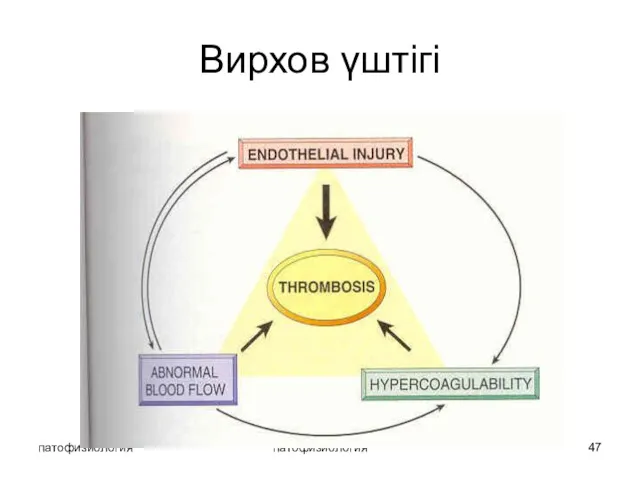 патофизиология патофизиология Вирхов үштігі