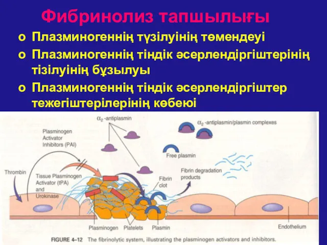 патофизиология патофизиология Фибринолиз тапшылығы Плазминогеннің түзілуінің төмендеуі Плазминогеннің тіндік әсерлендіргіштерінің