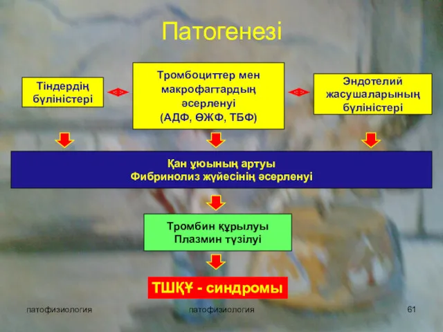 патофизиология патофизиология Патогенезі Тіндердің бүліністері Тромбоциттер мен макрофагтардың әсерленуі (АДФ,