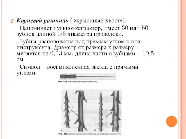 Корневой рашпиль ( «крысиный хвост»). Напоминает пульпоэкстрактор, имеет 30 или