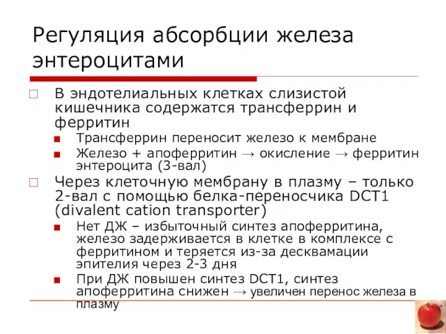 Регуляция абсорбции железа энтероцитами В эндотелиальных клетках слизистой кишечника содержатся