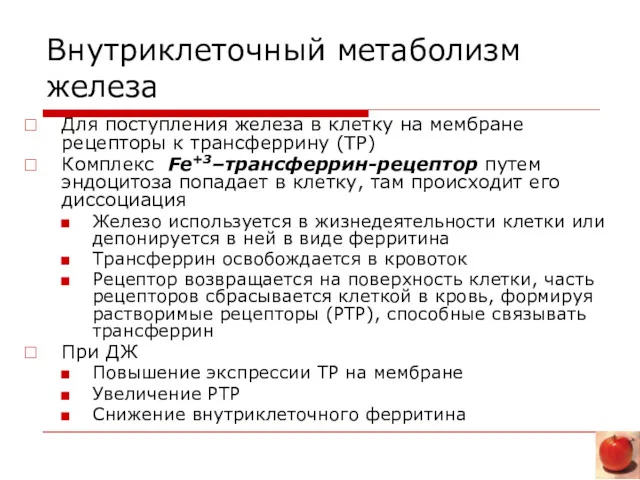 Внутриклеточный метаболизм железа Для поступления железа в клетку на мембране