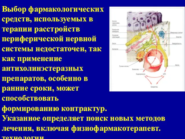 Выбор фармакологических средств, используемых в терапии расстройств периферической нервной системы недостаточен, так как