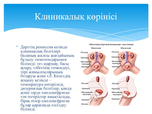 Дерттің ремиссия кезінде клиникалық белгілері баланың жалпы жағдайының бұзылу симптомдарымен білінеді: тез шаршау,