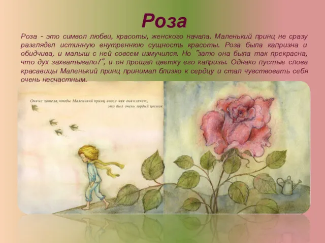 Роза Роза - это символ любви, красоты, женского начала. Маленький