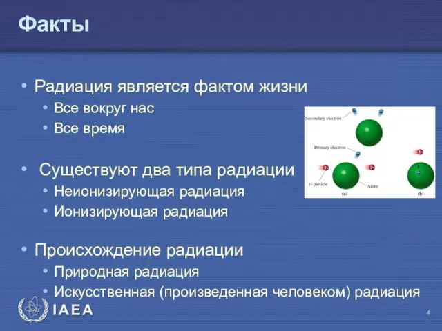 Факты Радиация является фактом жизни Все вокруг нас Все время