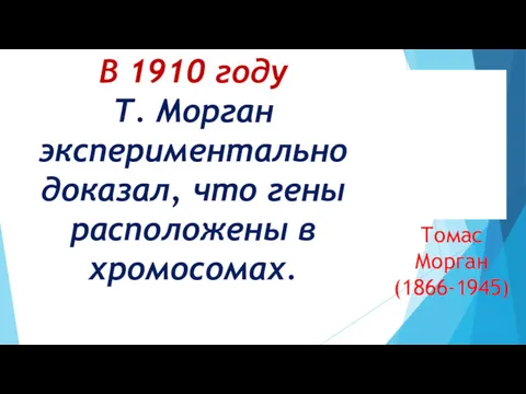 В 1910 году Т. Морган экспериментально доказал, что гены расположены в хромосомах. Томас Морган (1866-1945)