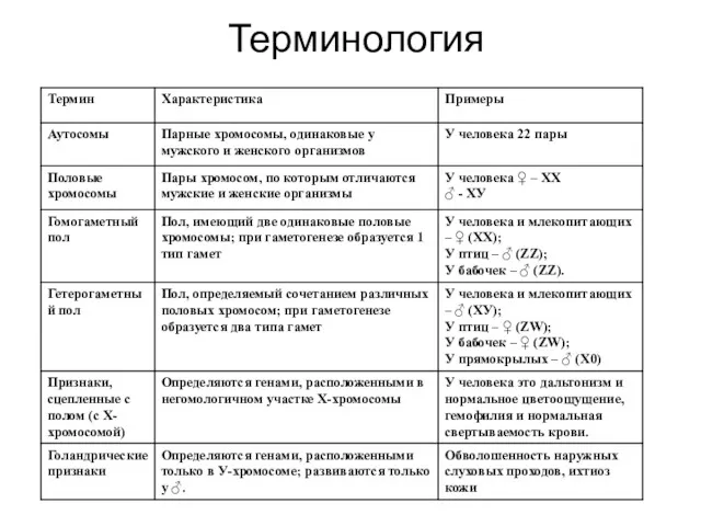 Терминология