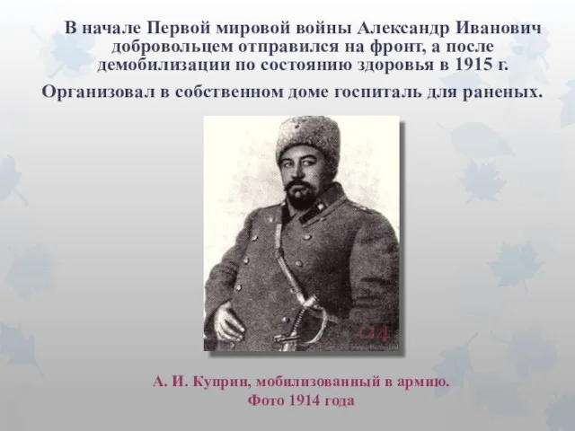В начале Первой мировой войны Александр Иванович добровольцем отправился на