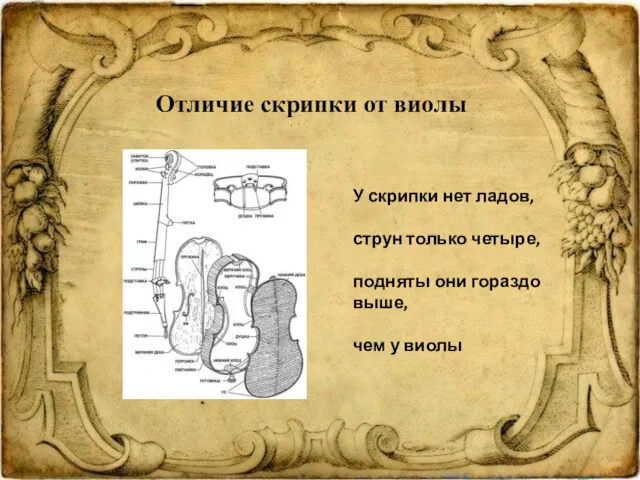 Отличие скрипки от виолы У скрипки нет ладов, струн только