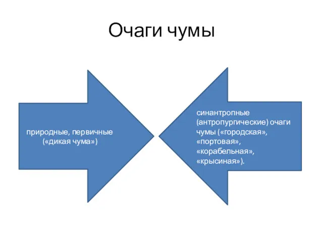 Очаги чумы природные, первичные («дикая чума») синантропные (антропургические) очаги чумы («городская», «портовая», «корабельная», «крысиная»).