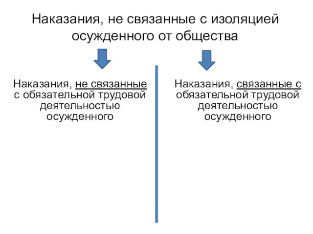 Наказания, не связанные с изоляцией осужденного от общества Наказания, связанные